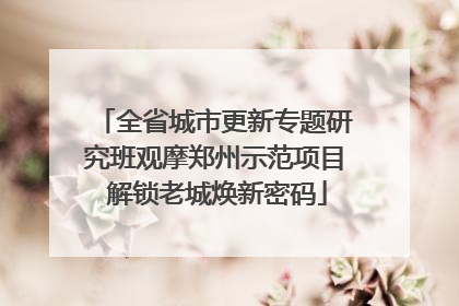 全省城市更新专题研究班观摩郑州示范项目 解锁老城焕新密码